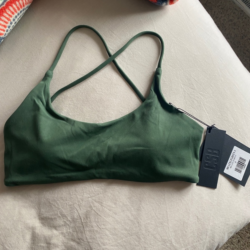 Crop shop boutique fade bra